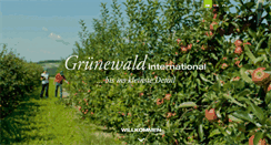 Desktop Screenshot of gruenewald-international.com